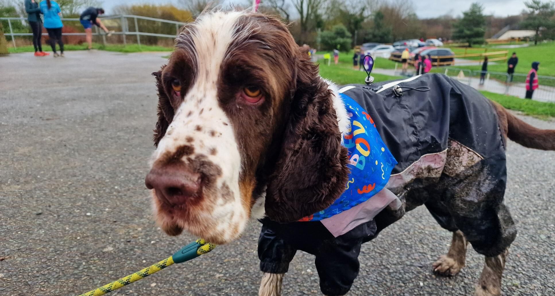 parkrun - 28/02/2026 - Witham Running Club